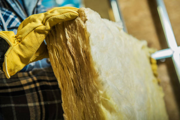 Best Specialized Insulation Services in Hawarden, IA